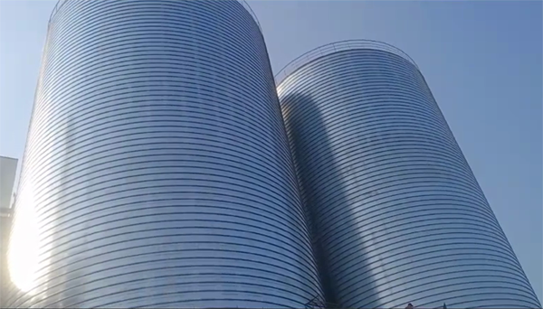 桑植2座混凝土高架卷板仓